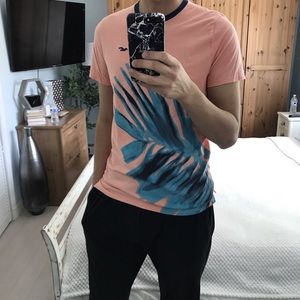 Hollister T shirt